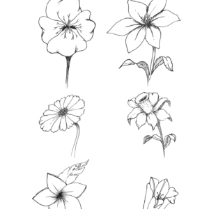 Coloriage-6-fleurs-letcarts