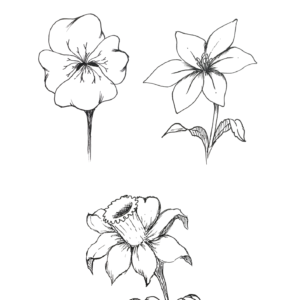 Coloriage 3 fleurs V2
