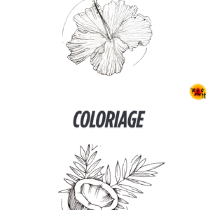 Coloriage 2 fleurs